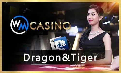 777plus casino bonuses